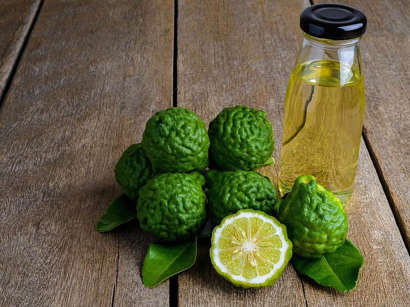 Bergamot Otu Çayı Zararları ve Fiyatı