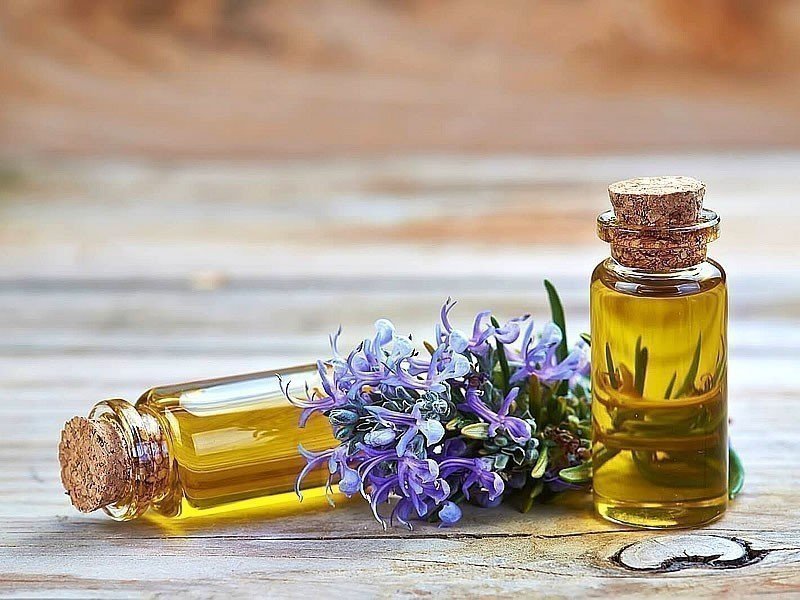 Biberiye Nedir? Faydaları ve Zararları Nelerdir?