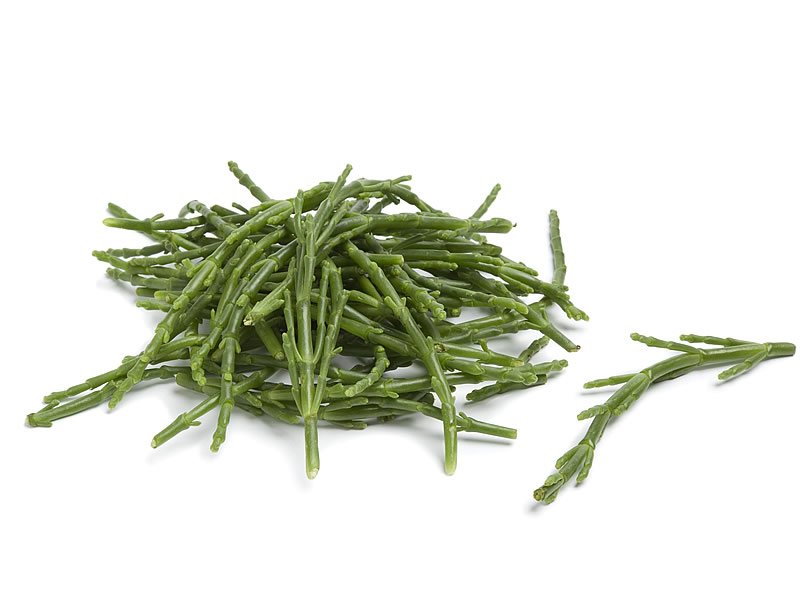 Deniz Börülcesi Faydaları Deniz Börülcesi Faydaları