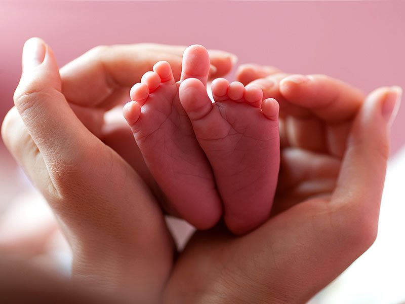 Doğurganlığı Artıran Gıdalar Nelerdir? Doğurganlığı Artırmak İçin Ne Yemeli?