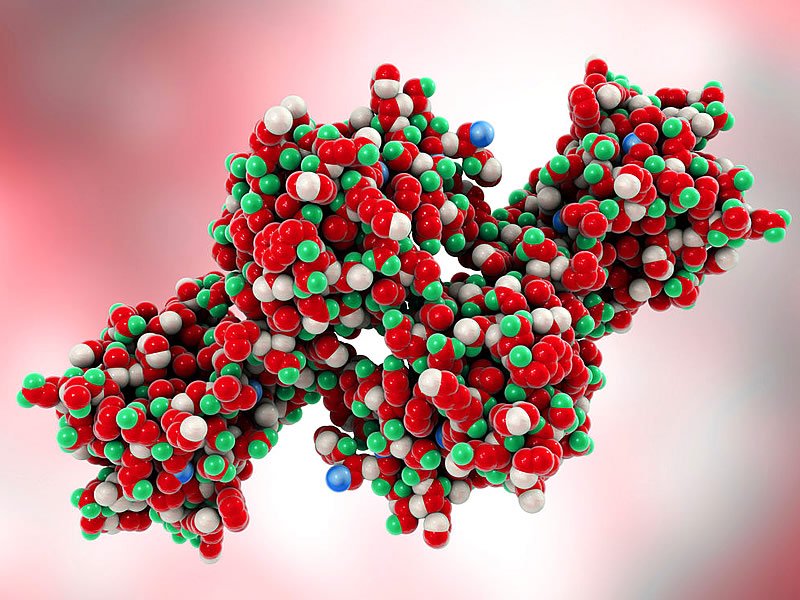 Ebola Virüsü Nedir, Ne Demek? Ebola Virüsü Hakkında Bilgi