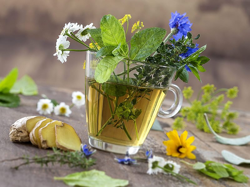 En Etkili Zayıflama Çayları En Etkili Zayıflama Çayları