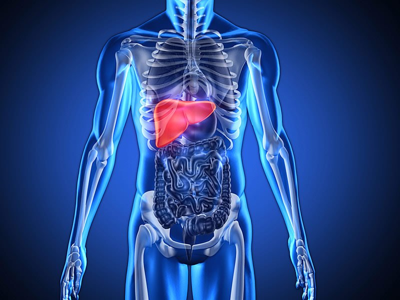 Karaciğer Büyümesi Nedir? Belirtileri Nelerdir? Nelere Yol Açar?