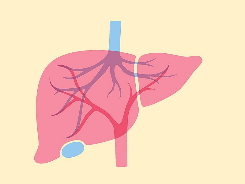 Karaciğer Kanseri Belirtileri Karaciğer Kanseri Belirtileri