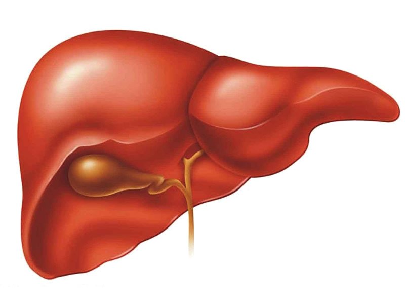 Karaciğer Kanseri Tedavisi Mümkün mü? Karaciğer Kanseri Tedavisi Mümkün mü?