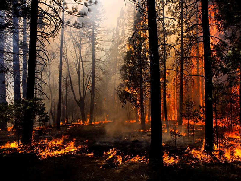 Karşı Ateş Tekniği Nedir?