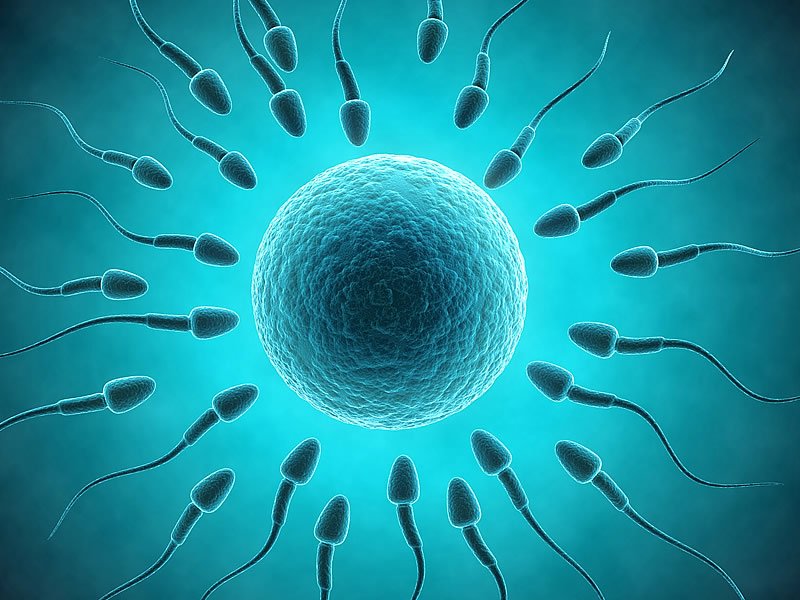 Kısırlık Nedir? Neden Olur? Belirtileri, Sebepleri, Tedavisi