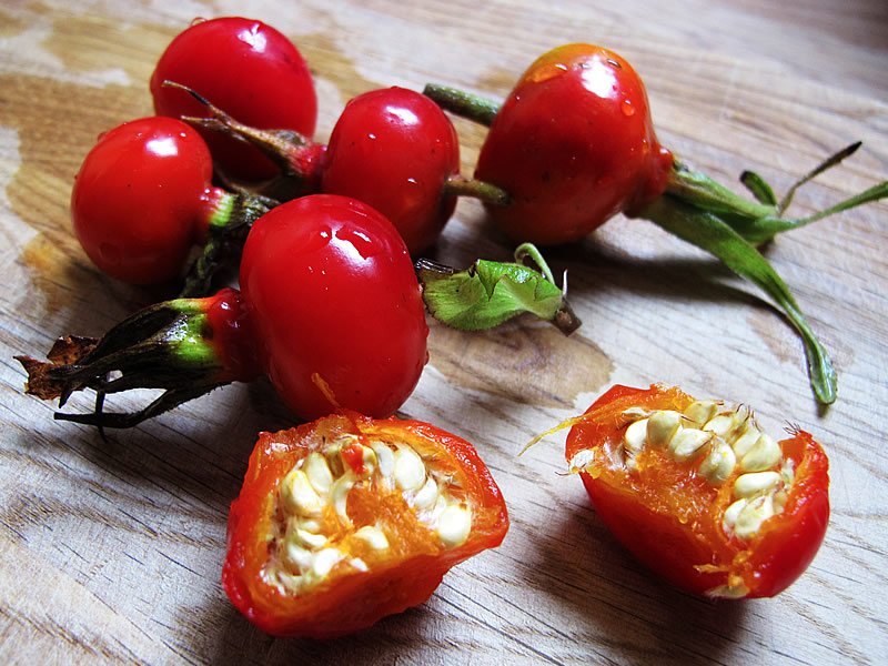 Kuşburnu Çekirdeği Yağının Faydaları Kuşburnu Çekirdeği Yağının Faydaları