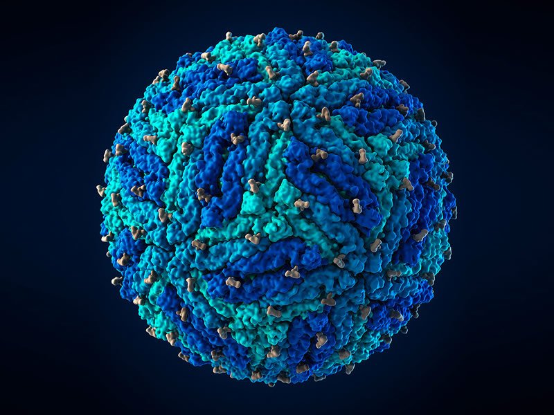 Nipah Virüsü Türkiye'de Var mı? Nipah Virüsü Türkiye'de Var mı?