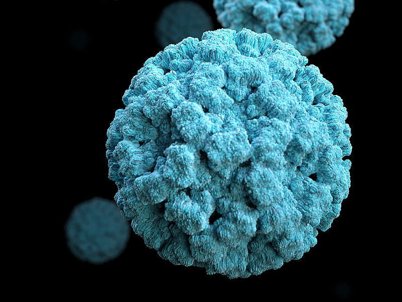 norovirusu nedir belirtileri nelerdir