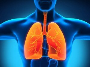 Akciğere Ne İyi Gelir? Akciğeri Güçlendiren Besinler, Gıdalar, Meyveler, Bitkiler