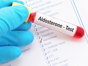 Aldosteron Hormonu Nedir? Ne İşe Yarar? Artarsa ve Eksikliğinde Ne Olur?
