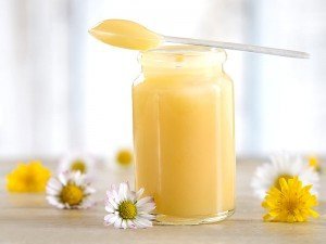 Arı Sütü Nedir? Ne İşe Yarar? Faydaları ve Zararları