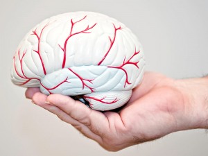 Beyin Kanaması Belirtileri Nelerdir? Tedavisi Nasıl Yapılır?