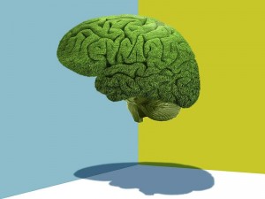 Beyin Sisi Ne Demek? Nasıl Geçer? Nedenleri ve Tedavisi