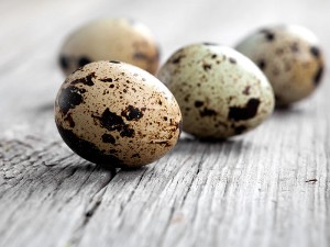 Bıldırcın Yumurtasının Faydaları ve Yan Etkileri Nelerdir?