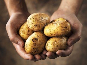 Çiğ Patates Suyu Zayıflatırmı? Nasıl Sıkılır? Nasıl Kullanılır?