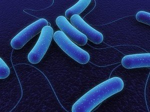 Et Yiyen Bakteri Nedir? Et Yiyen Bakteriler Nasıl Bulaşır? Korunma Yolları Nelerdir?