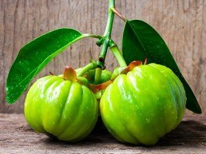 Garcinia Cambogia Nedir? Zayıflatırmı? Kullananlar, Fiyatı, Zararları ve Faydaları