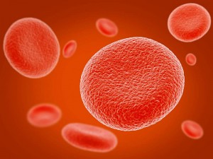 Hangi Kan Grubu Nasıl Beslenmeli? Kan Grubuna Göre Beslenme