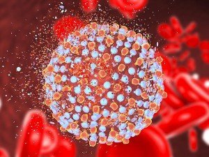 Hepatit C Nedir? Tedavisi, Belirtileri ve Aşısı