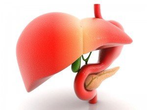 Karaciğere İyi Gelen Sebze, Meyve, Vitamin ve Bitki Çayları