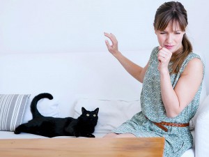 Kedi Alerjisi Belirtileri Nelerdir? Nasıl Geçer?