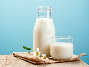 Laktozsuz Süt Ne Demek? Kalorisi, Faydaları ve Zararları