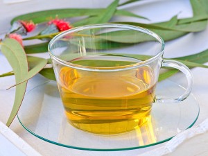 Okaliptus Çayı Faydaları Nelerdir? Nasıl Demlenir? Fiyatı ve Kullananlar