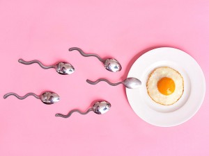 Yumurtlama Dönemi Belirtileri Nelerdir? Ne Zaman Olur?