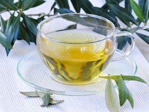 Zeytin Yaprağı Çayı Nasıl Yapılır? Zayıflatır mı? Fayda ve Zararları