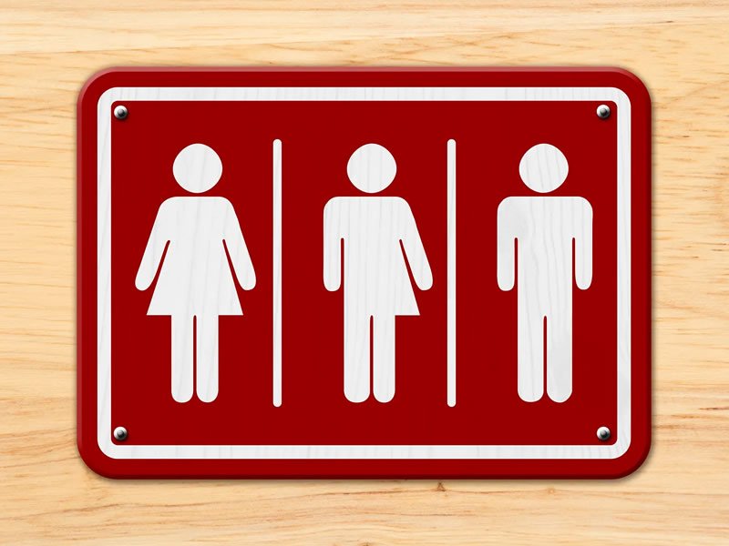 Trans kadın Trans Erkek